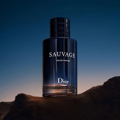 Sauvage Eau De Toilette Men Perfume